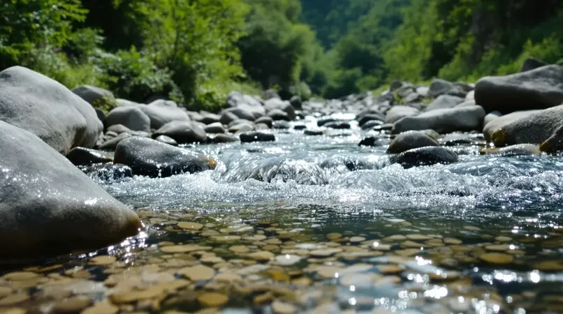 《山涧清音》剧照封面 - 视频网